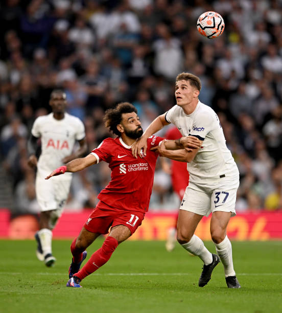 信号与期待 信号与期待