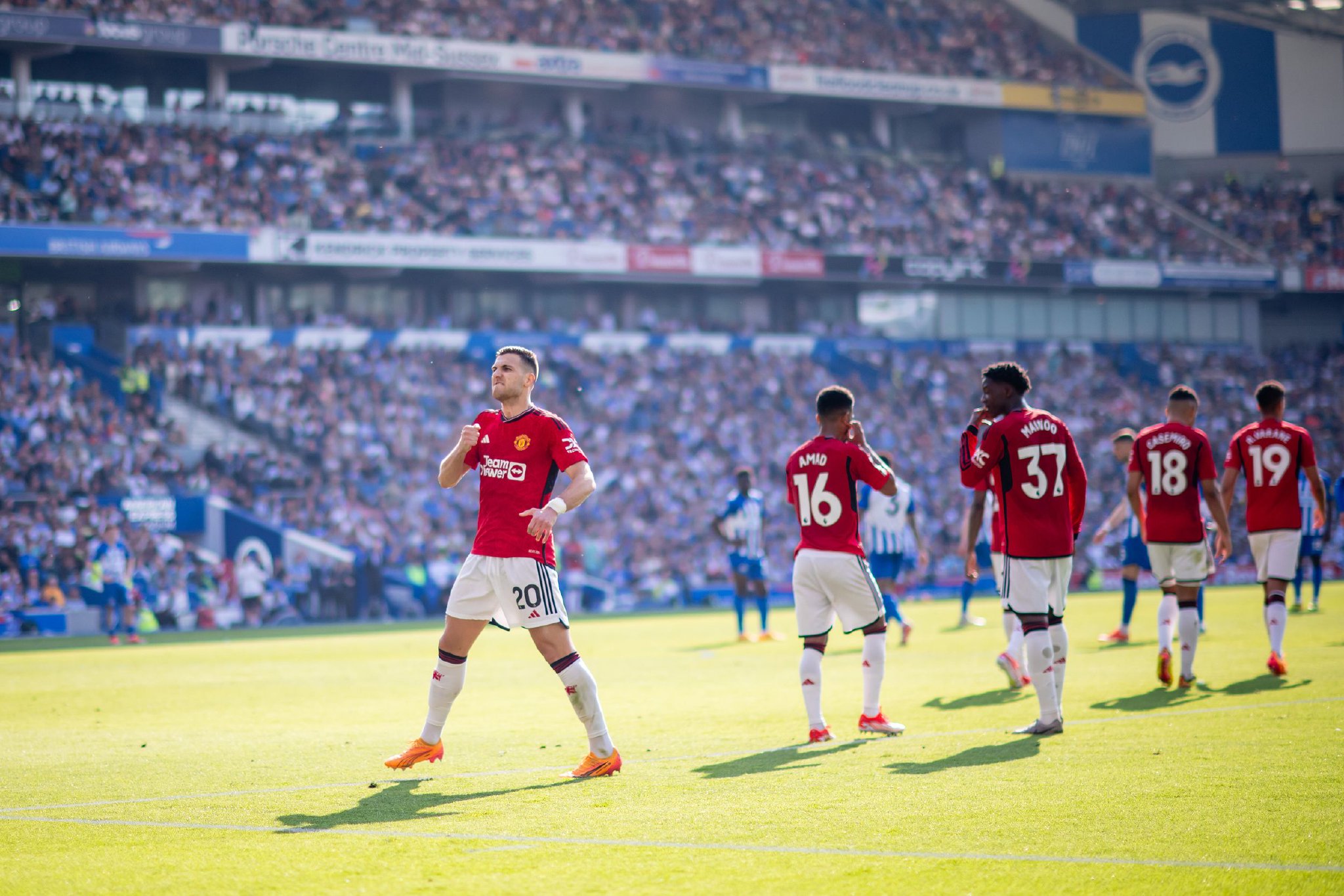 专家指出 专家指出